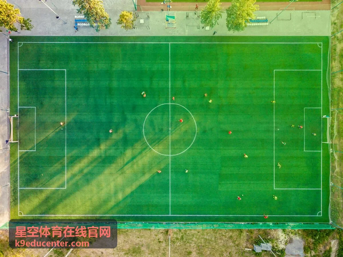 星空体育在线官网线上观赛直播画面示意
