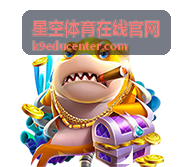 星空体育在线官网赛事热点专题展示的足球晚间比赛现场